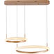 Canada LED 24 inch Gold LED Chandelier Ceiling Light