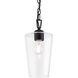Celino 1 Light 5 inch Black Pendant Ceiling Light