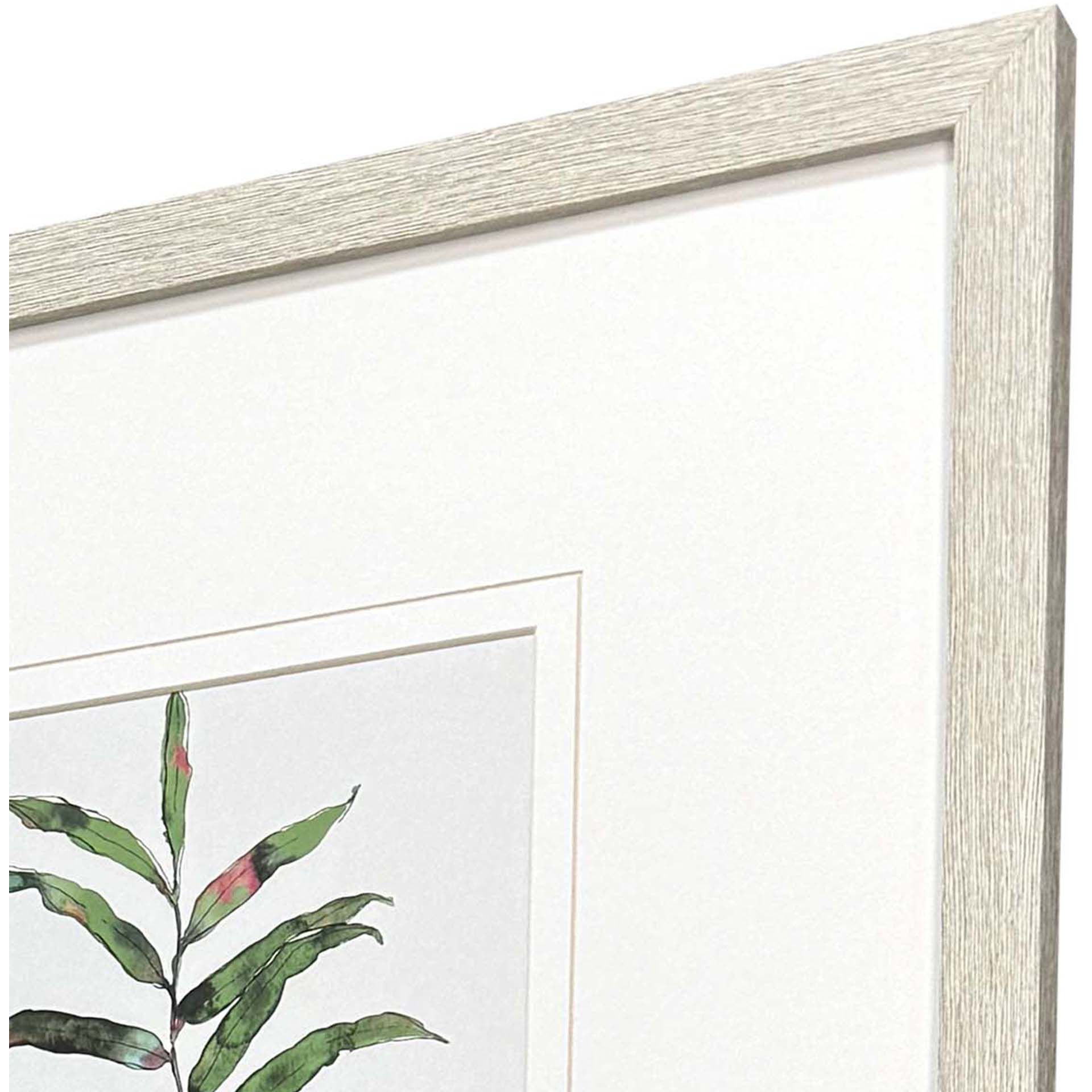 Palm Springs Leaves Green and Red and Pink and Purple Framed Art, Propac