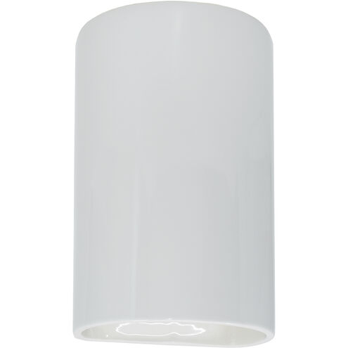 Ambiance Cylinder LED 12.5 inch Gloss White Outdoor Wall Sconce, Large