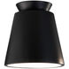 Radiance Collection LED 7.5 inch Carbon Matte Black Outdoor Flush-Mount