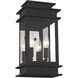 Princeton 2 Light 14 inch Black Outdoor Wall Lantern