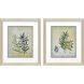 Ferns Aglow Green Framed Art, Propac
