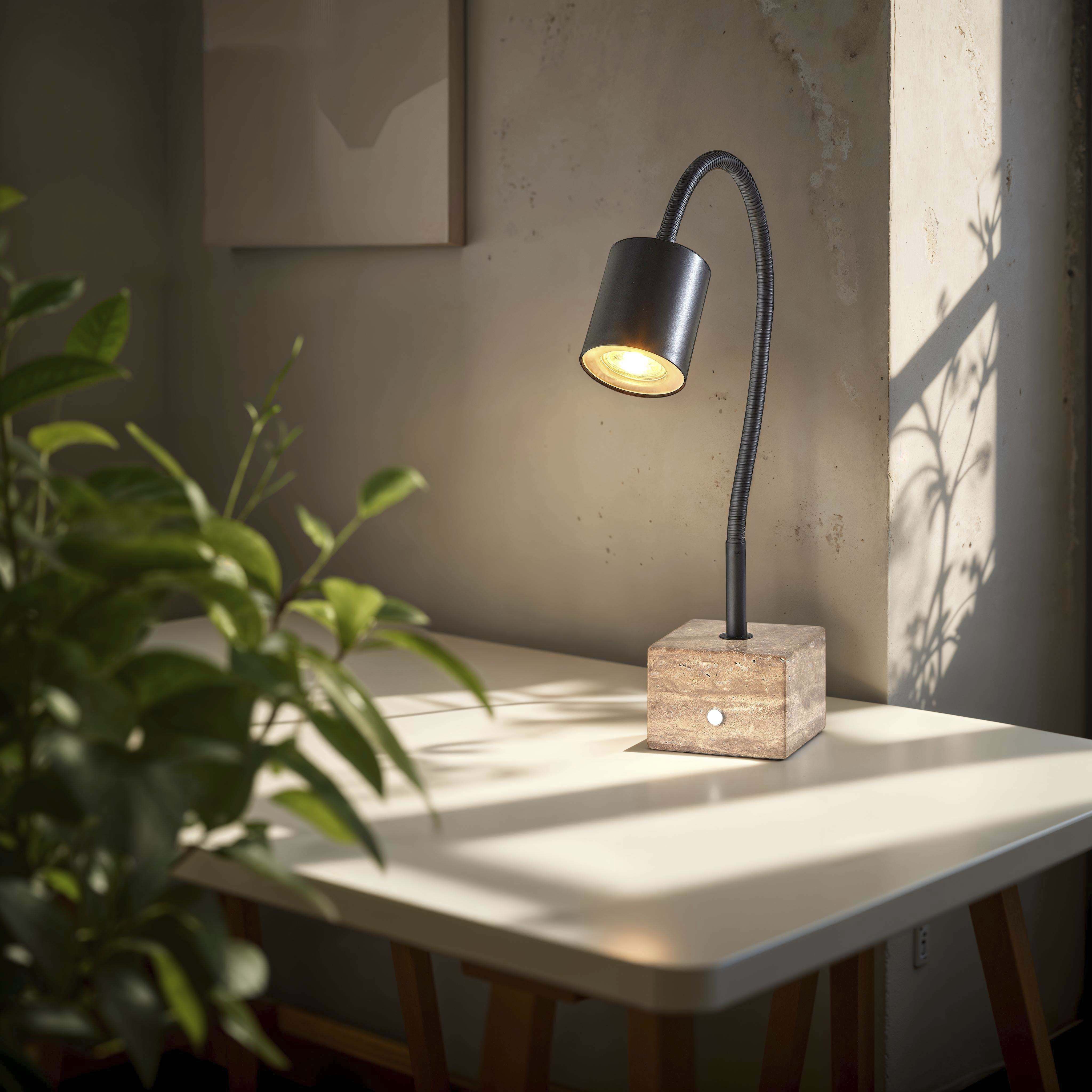 Rutherford 19 inch 5.00 watt Black Desk Lamp Portable Light