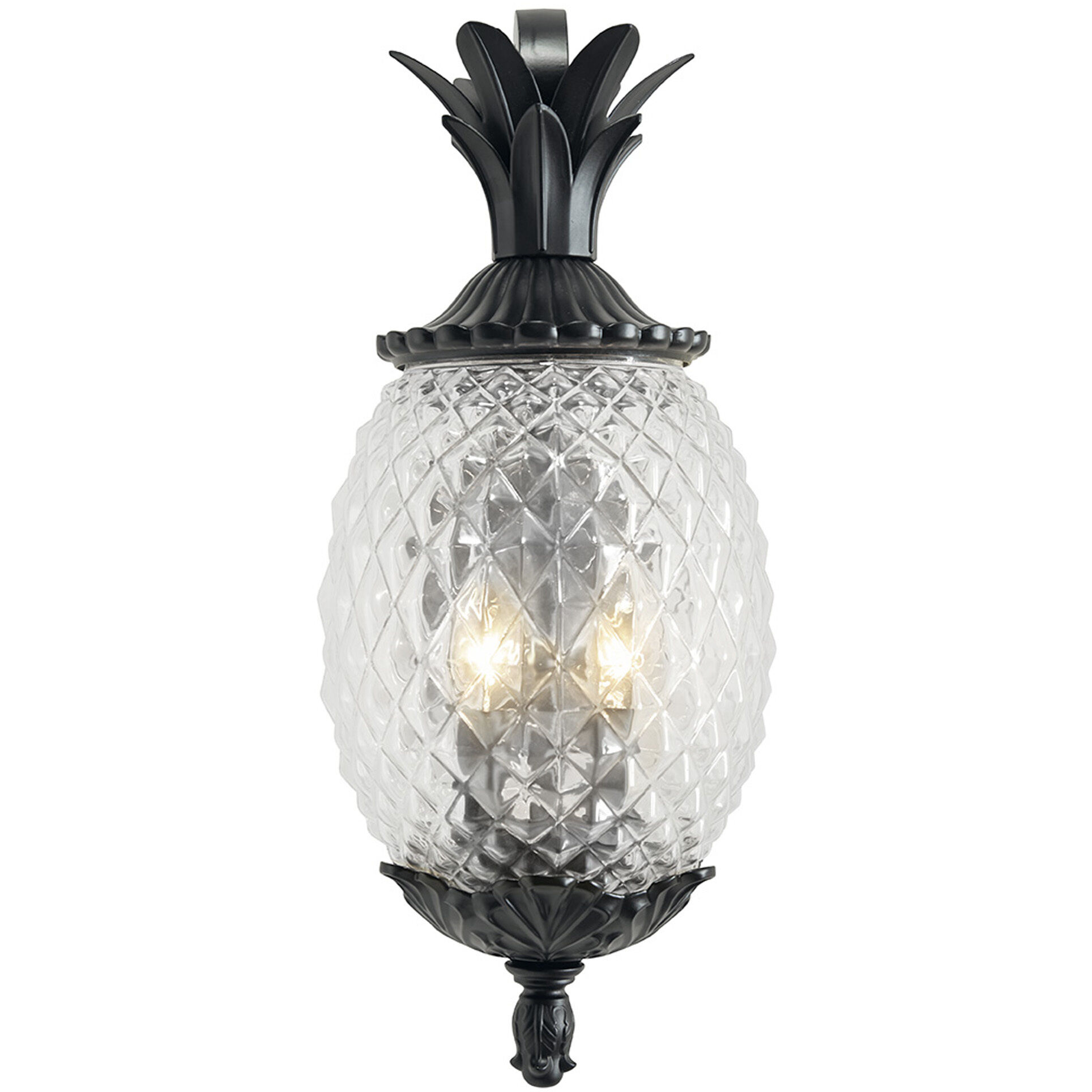 Lanai 2 Light 18 inch Matte Black Exterior Wall Mount