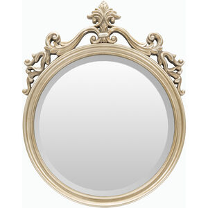 England 25 X 19.5 inch Champagne Mirror, Arch/Crowned Top