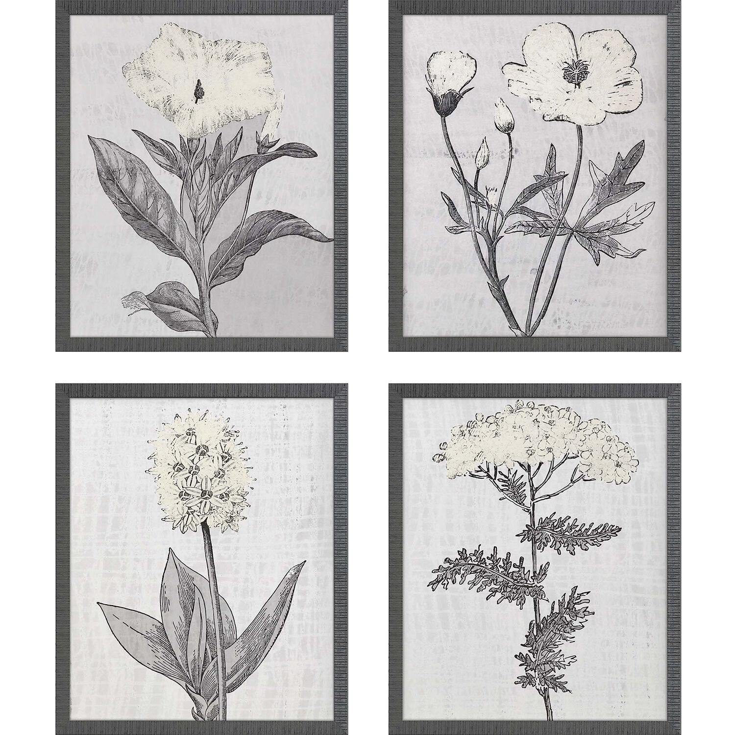Florals Gray and Black and Neutral Framed Art