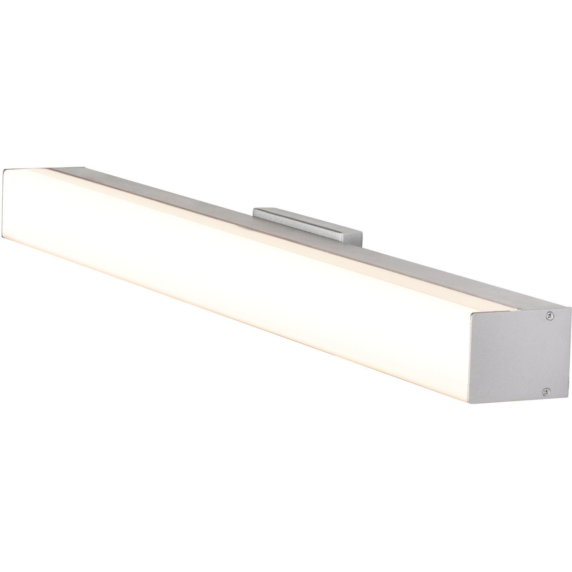 Procyon 24 inch Silver Bathroom Vanity Light Wall Light