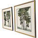 Tree Canopy Green and Beige and Brown and Neutral Framed Art