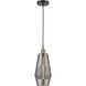 Windham 1 Light 7 inch Black Antique Brass Mini Pendant Ceiling Light in Smoked Glass