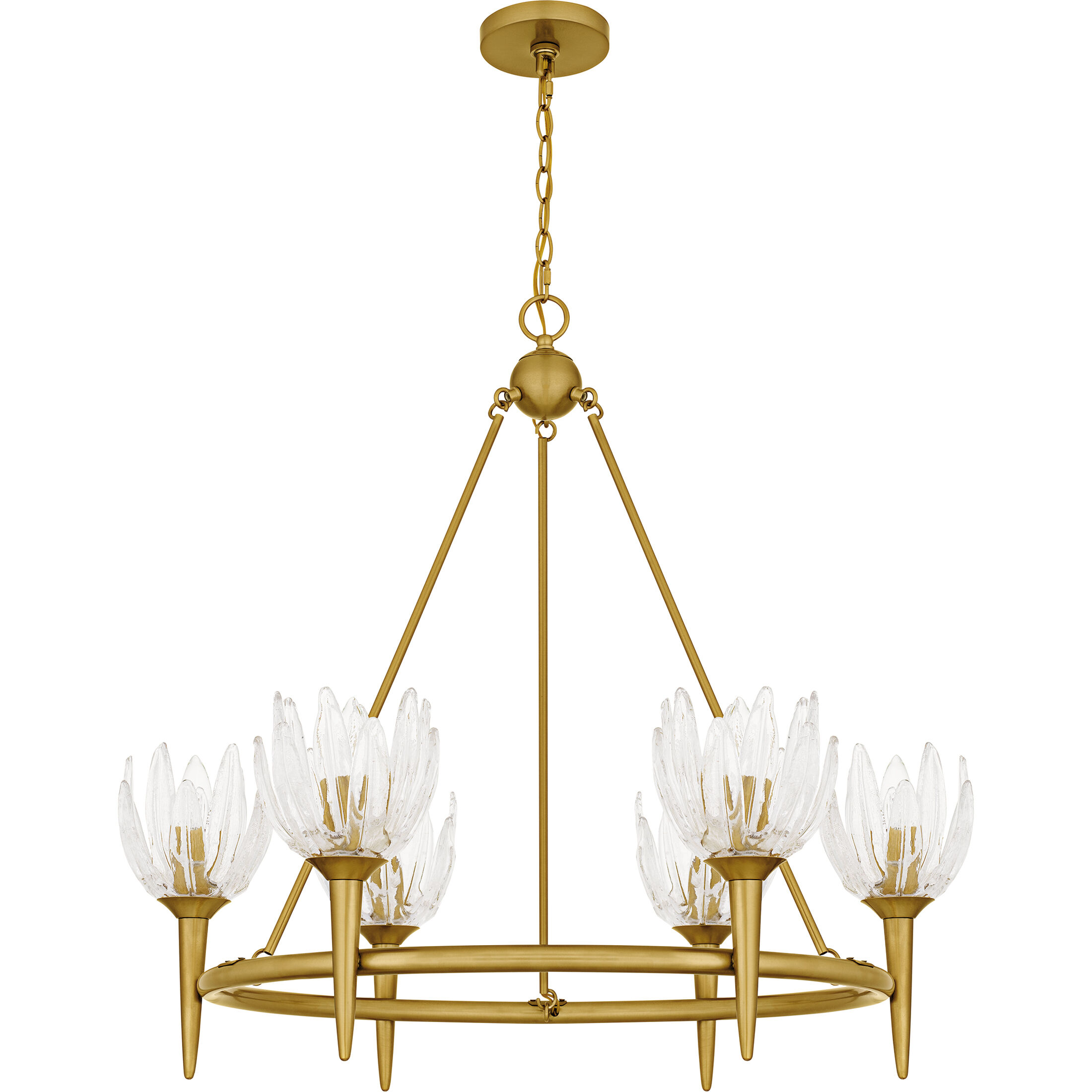Shea 6 Light 31 inch Brushed Gold Chandelier Ceiling Light