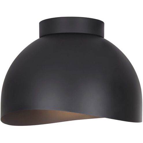 Henlee 2 Light 11 inch Black Flush Mount Ceiling Light