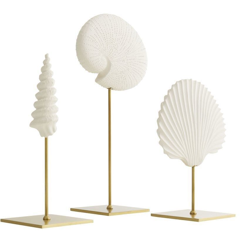 Shell White Sculptures, Set of 3