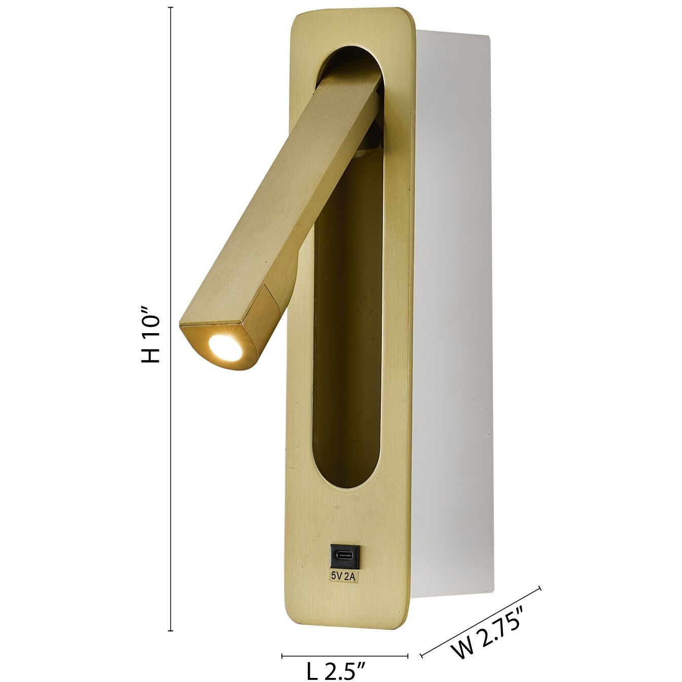 Canada Wall Sconce Wall Light in Satin Brass
