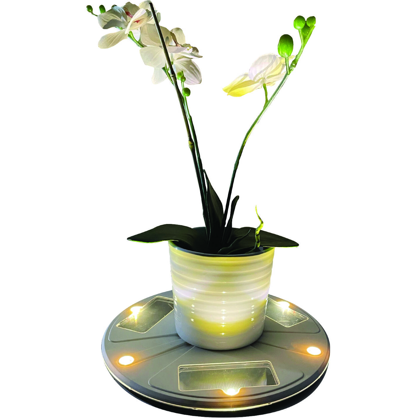 Christopher White Uplight Planter Light, Solar