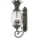 Plantation Outdoor Wall Mount Lantern in Museum Black