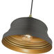 Endicott 1 Light 10 inch Bronze with Antique Brass Finish Accents Pendant Ceiling Light in Bronze with Antique Brass Accent