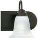 Homestead 2 Light 18 inch Painted Bronze Vanity Light Wall Light