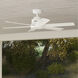 Kennicott 52 inch Fresh White Outdoor Ceiling Fan