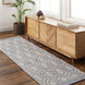 Napoli 96 X 30 inch Gray Rug, Runner