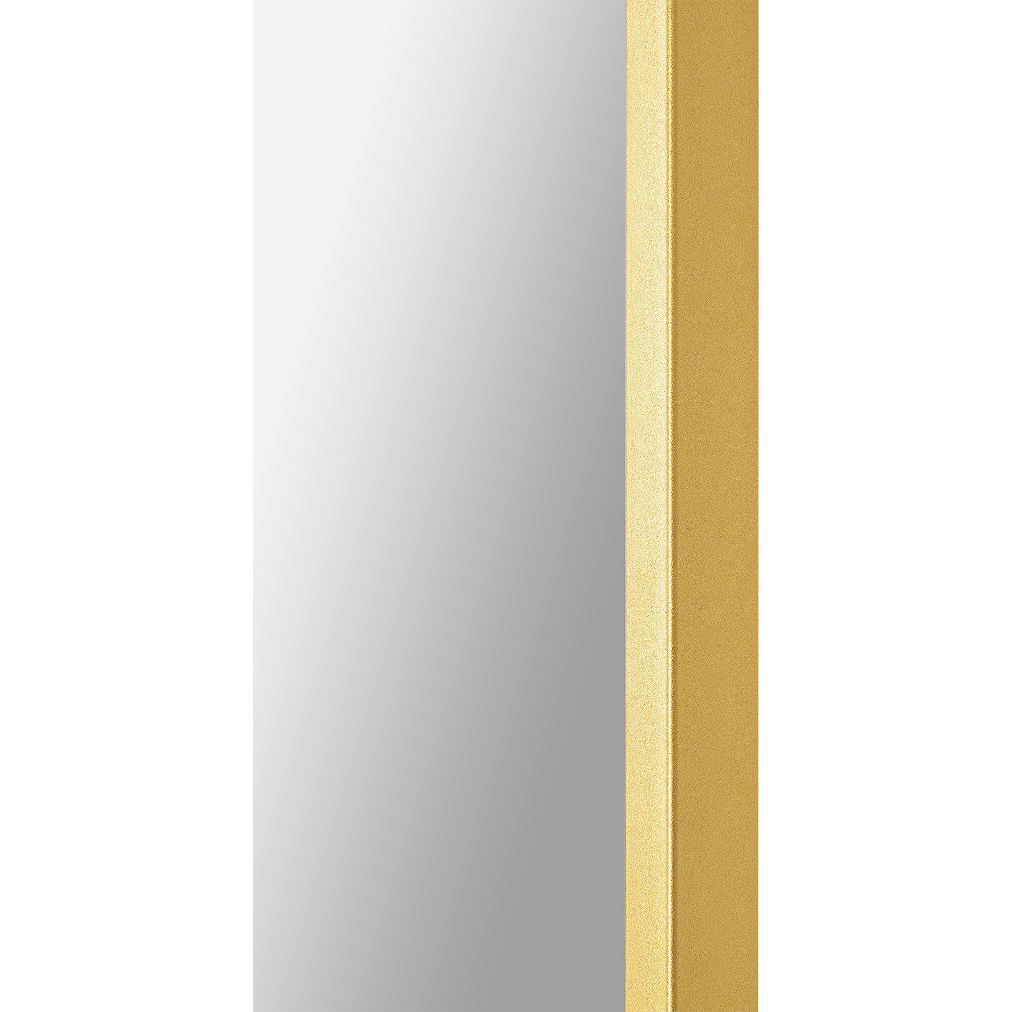 Nadia 40 X 38 inch Gold Mirror