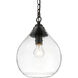 Ariella 1 Light 9.88 inch Matte Black Pendant Ceiling Light in Clear Hammered, Small