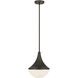 Ogdon 1 Light 12.00 inch Pendant