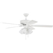 Indoor Ceiling Fans