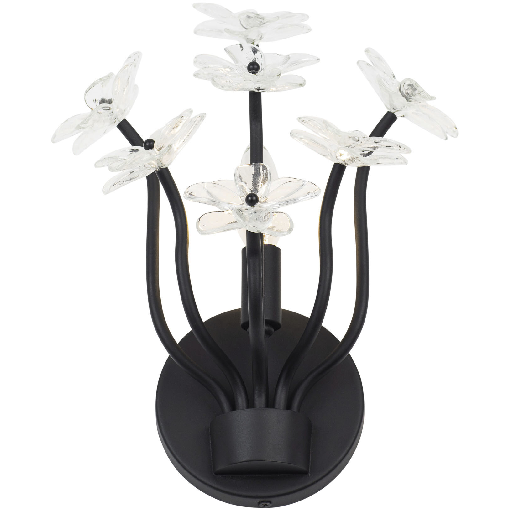 Wildflower 1 Light 10 inch Matte Black Wall Sconce Wall Light, Smithsonian Collaboration