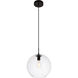 Placido 1 Light 12 inch Black and Clear Pendant Ceiling Light