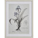 Stems I Cream Framed Wall Art