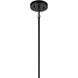 Madden 8 Light 20 inch Black Large Foyer Pendant Ceiling Light