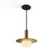 Combi LED 9 inch Brass Pendant Ceiling Light in Brass with Brass, Suspension / Flush Mount 2-in-1