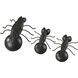 Ants Black Object
