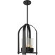 Triomphe 4 Light 13.00 inch Outdoor Pendant/Chandelier