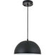Forte 1 Light 12 inch Black Pendant Ceiling Light