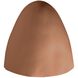 Ambiance Outdoor Wall Sconce
