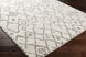 Aliyah Shag 36 X 24 inch Gray Rug in 2 x 3, Rectangle