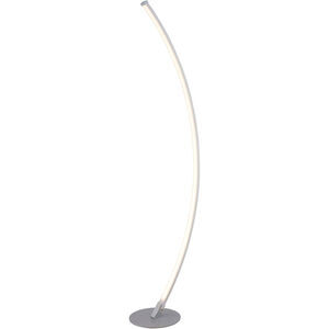 Monita 52 inch 30.00 watt Silver Floor Lamp Portable Light