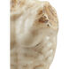 Ancient Greek Torso 15.25 X 9.5 inch Sculpture