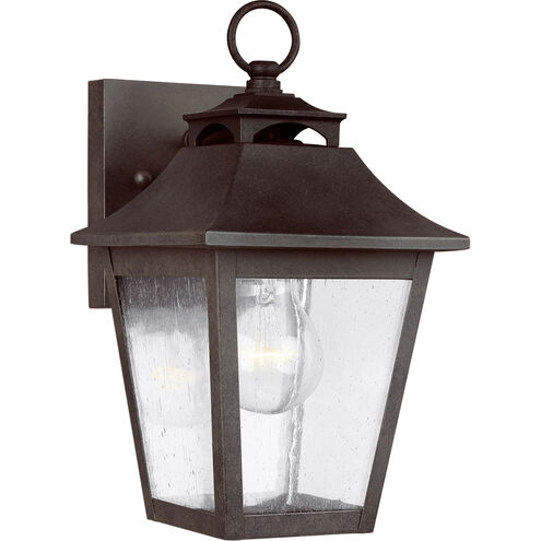 Sean Lavin Galena 1 Light 10.88 inch Sable Outdoor Wall Lantern