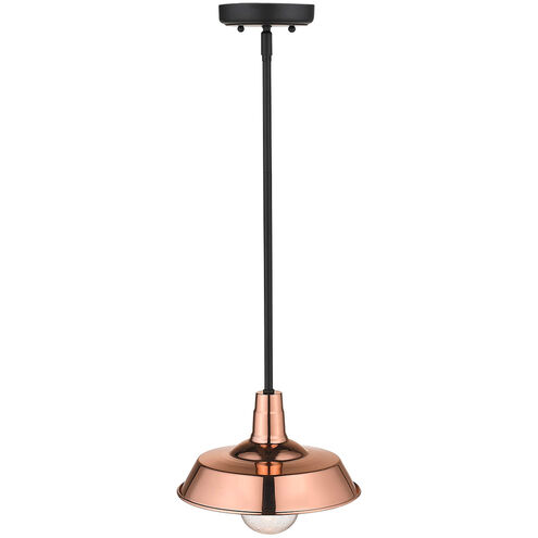 Burry 1 Light 10 inch Copper Exterior Convertible Pendant