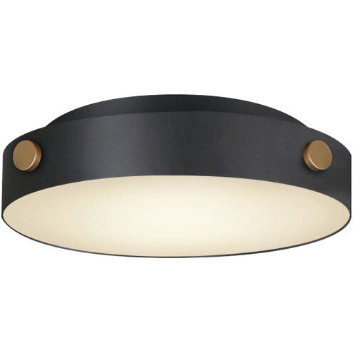 Rivet LED 12 inch Black and Antique Brass Outdoor Flush Mount