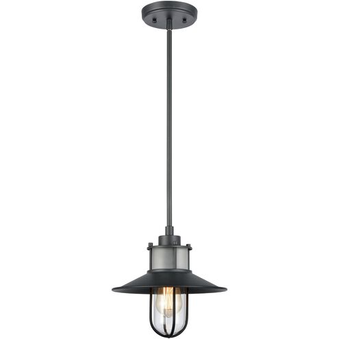 Coastal Farm 1 Light 10 inch Charcoal Outdoor Pendant