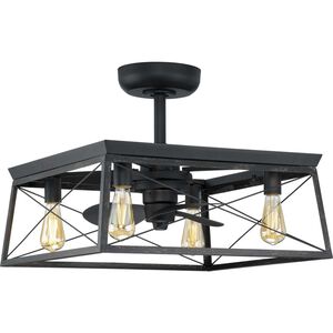 Briarwood 22.00 inch Indoor Ceiling Fan