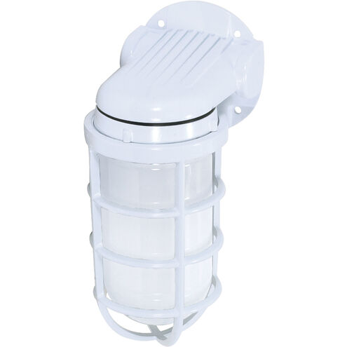 Brentwood 1 Light 9 inch White Outdoor Wall Mount