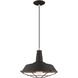 Allison 1 Light 14 inch Black Mini Pendant Ceiling Light
