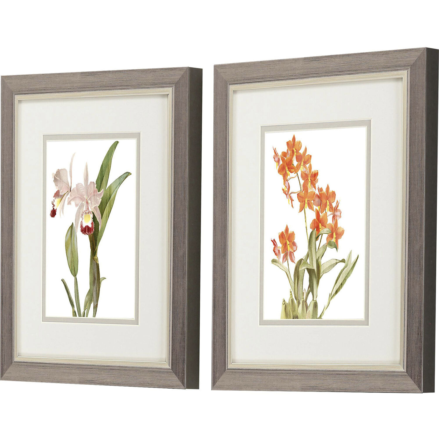 Floral Beauty Orange and Green and Beige and Neutral Framed Art, Propac