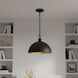 Braylon Pendant Ceiling Light