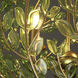 Bridget 3 Light 16.5 inch Soft Gold Chandelier Ceiling Light in Green